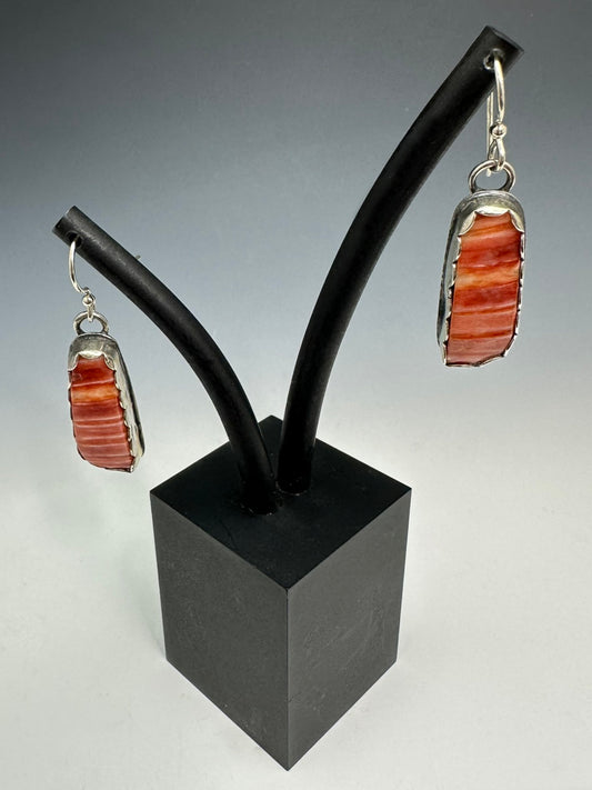 Spiny Oyster Earrings