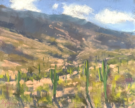 Cactus Forest Loop Drive