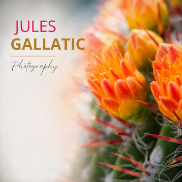 Jules Gallatig Collection