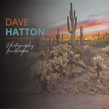 Dave Hatton Collection