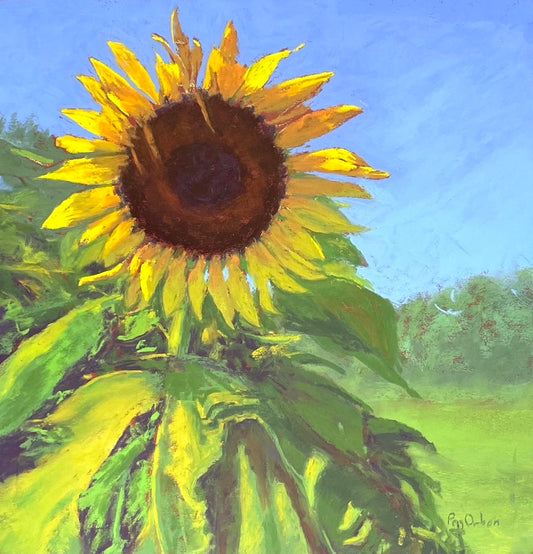 Giant Sunflower