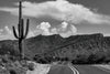 Road to Roosevelt Lake