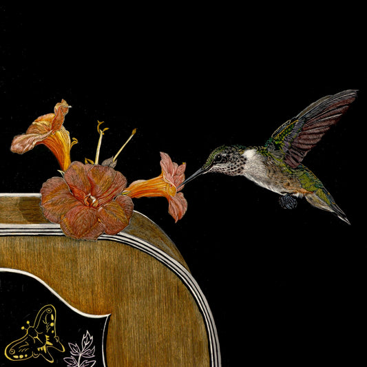 Birds of a Feather