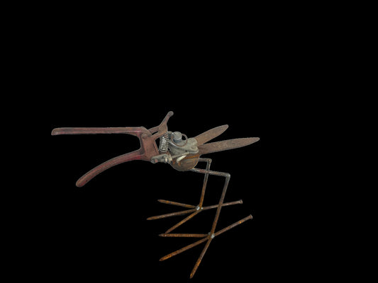 Clipper Bird