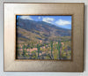Cactus Forest Loop Drive