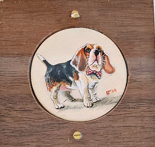 One Classy Beagle