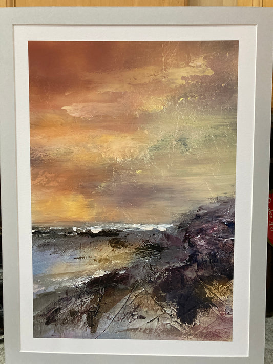 Driftwood View