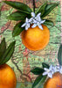 Florida State Flower