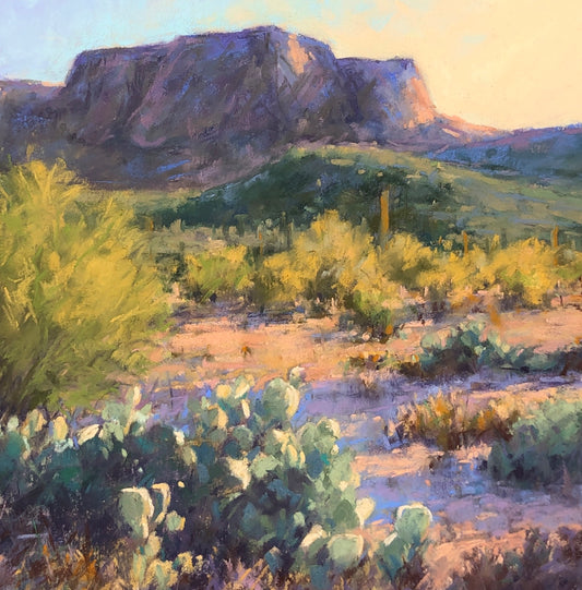 Evening Cactus Fine Art Giclee Print